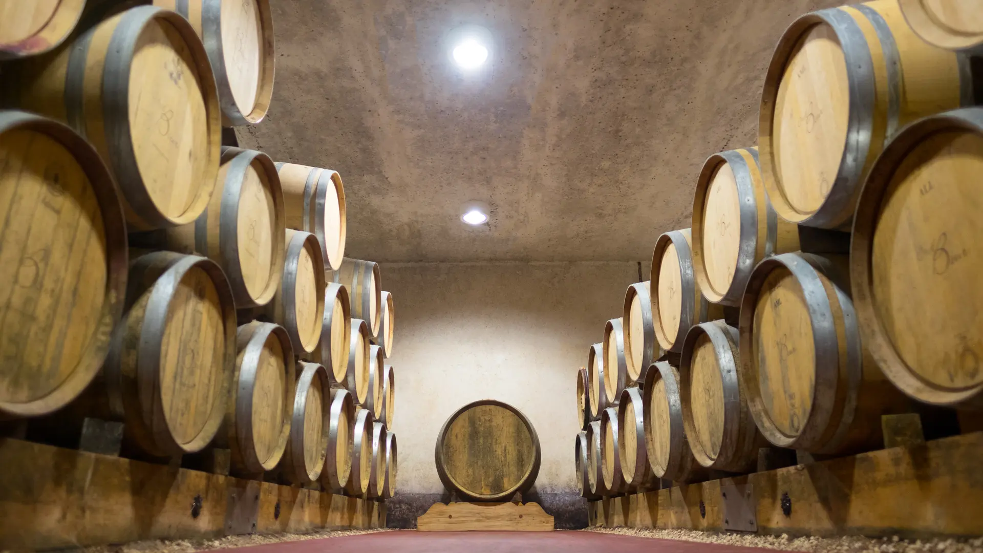 Cave - Domaine de Grangeneuve