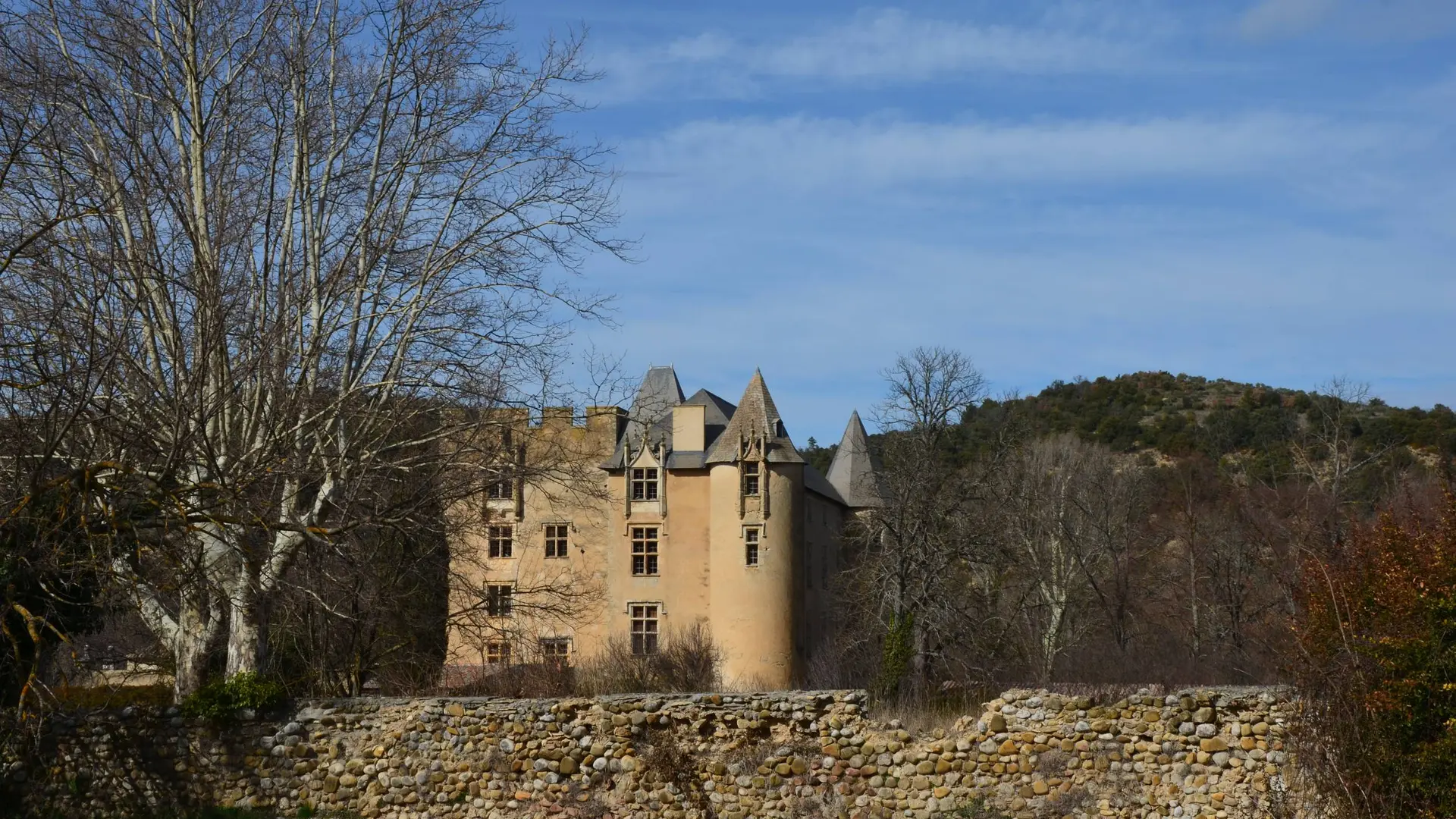 Le château d'Allemagne en Provence