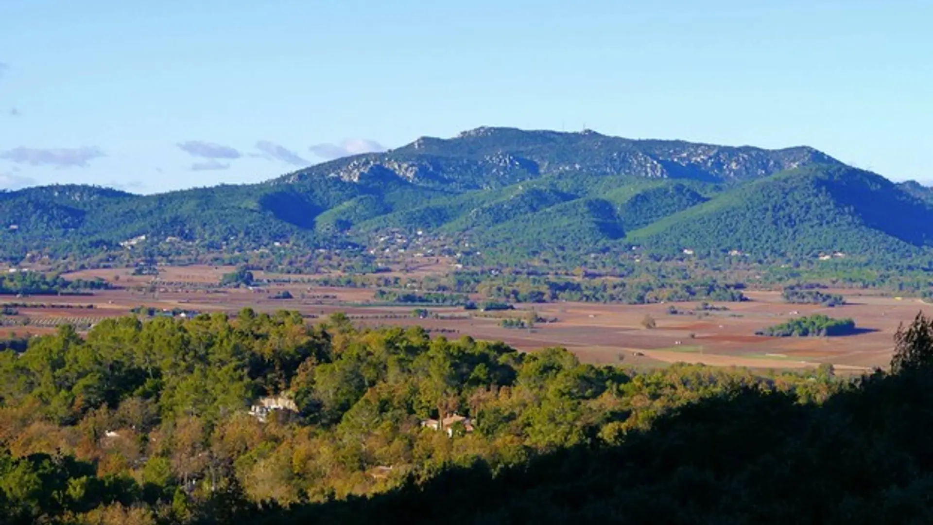 Vue de Néoules et de la Loube