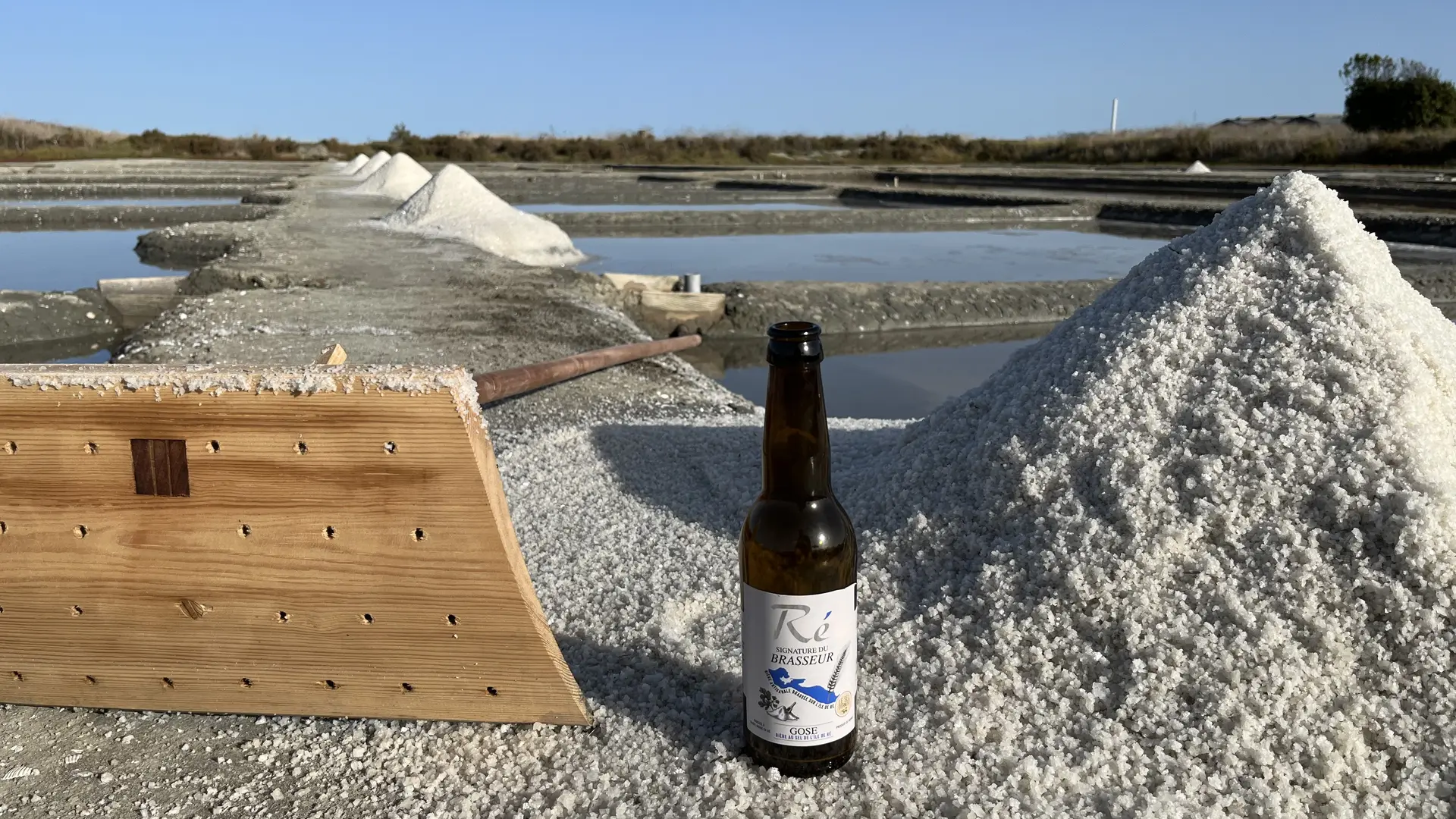 Gose from Ré Island Beers