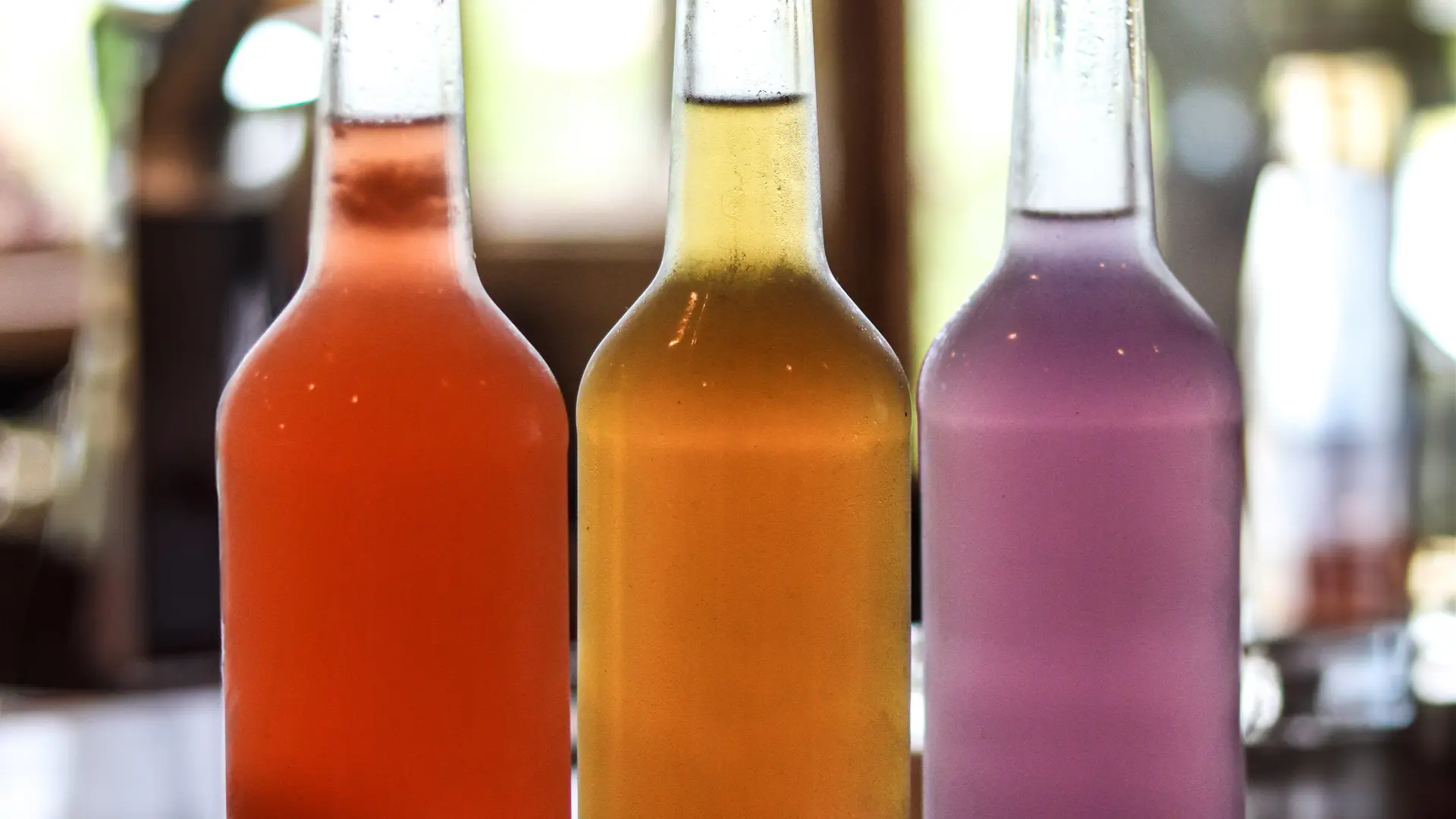 Atelier fermentation