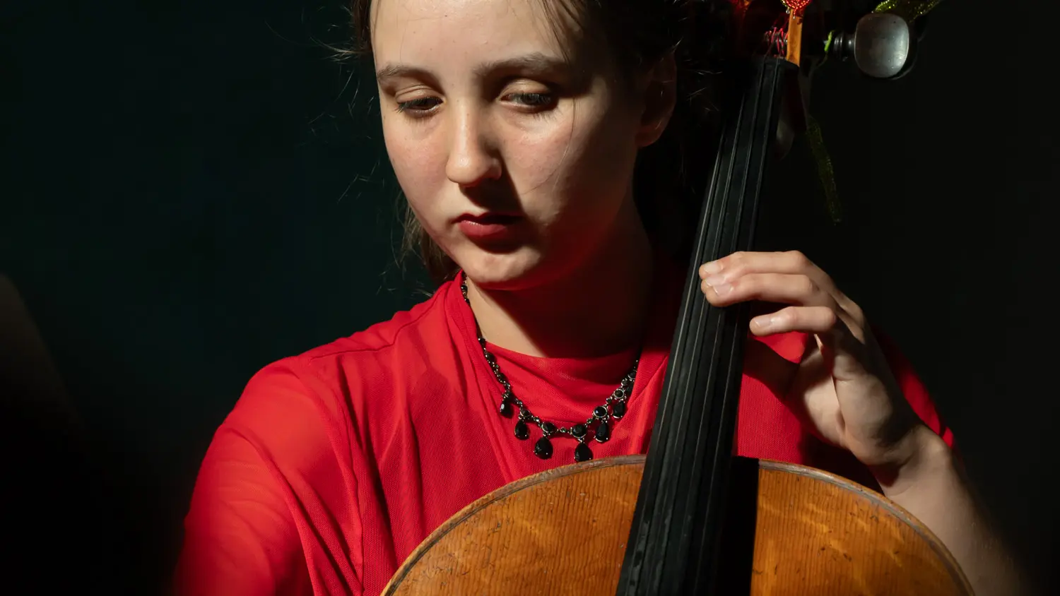 Violoncelliste - Christine Pascal - Photographe d'artiste Aiguebelette