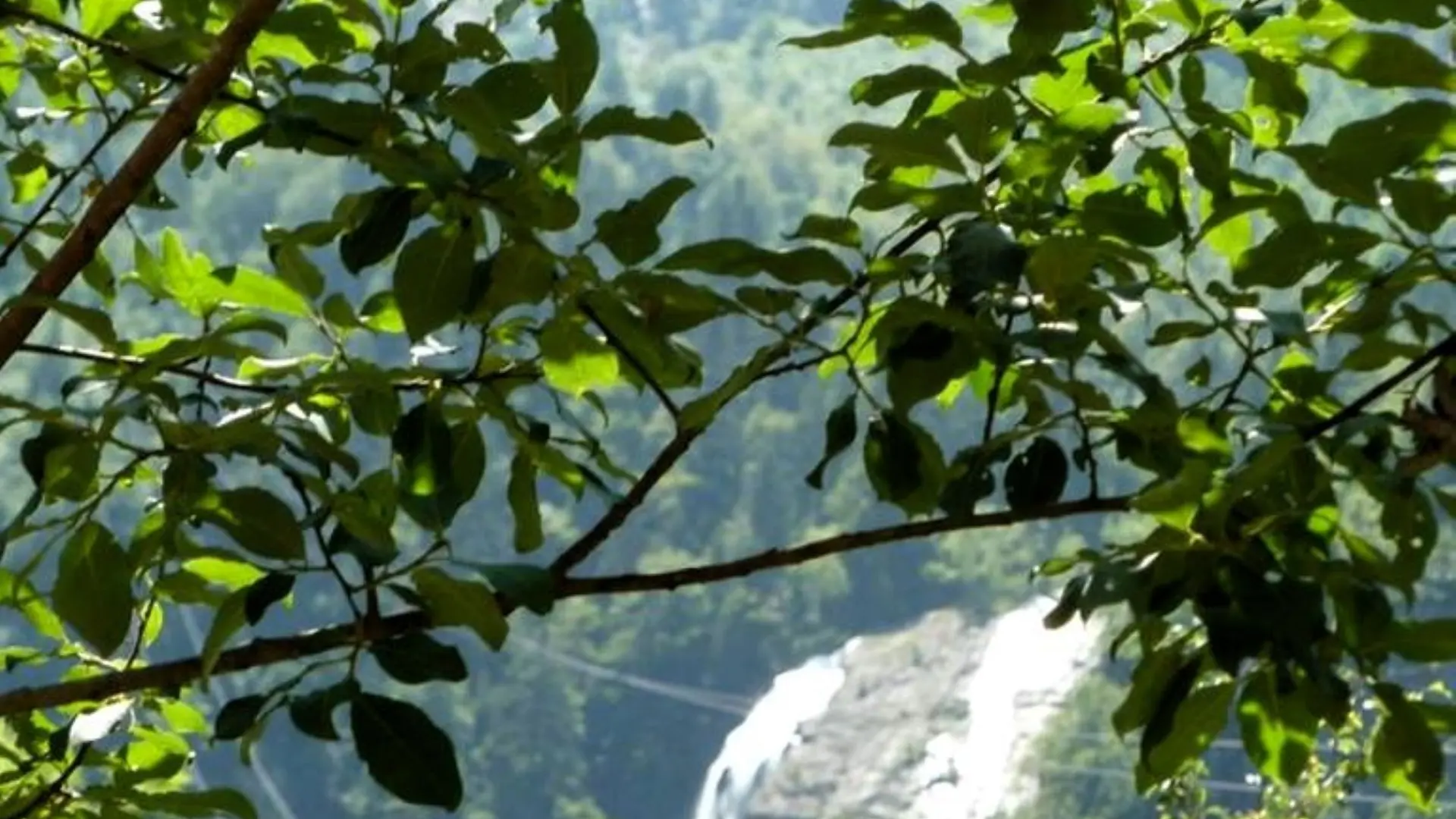 panorama sur les cascades