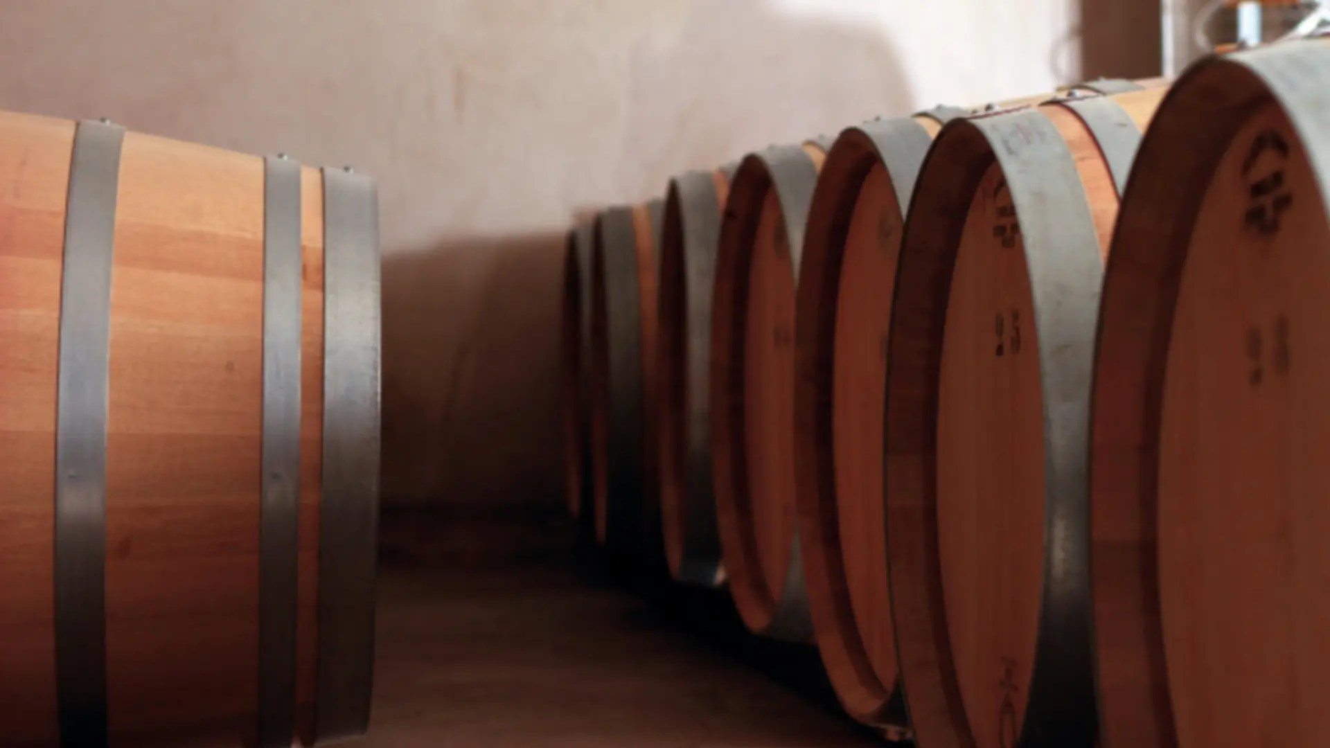 Wine estate Domaine de la Vallongue Eygalières wine barrel