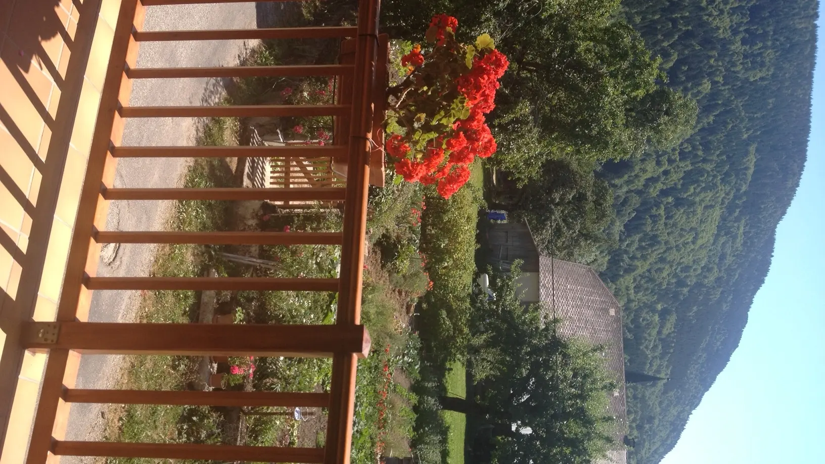 Rucher de Montpellaz