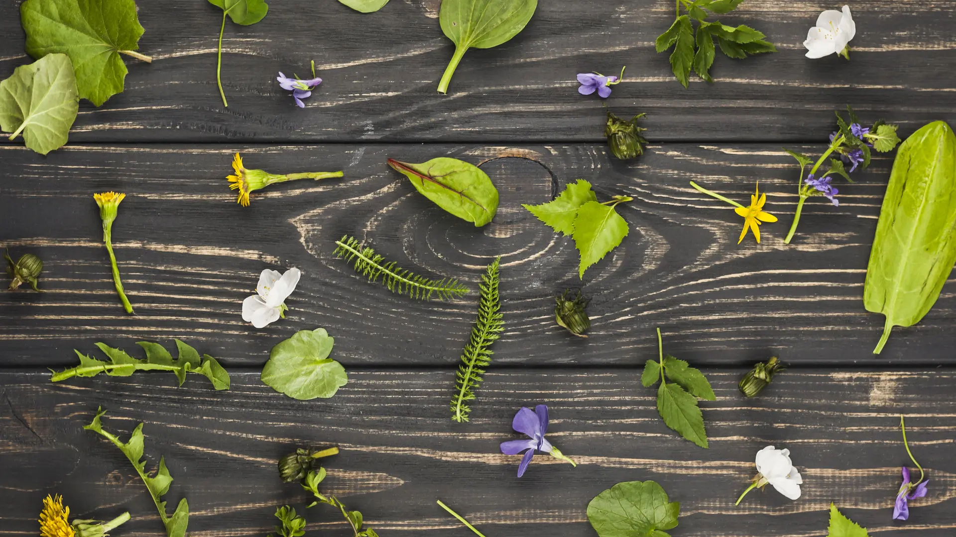 Feuilles et fleurs sur fond en bois texturé
