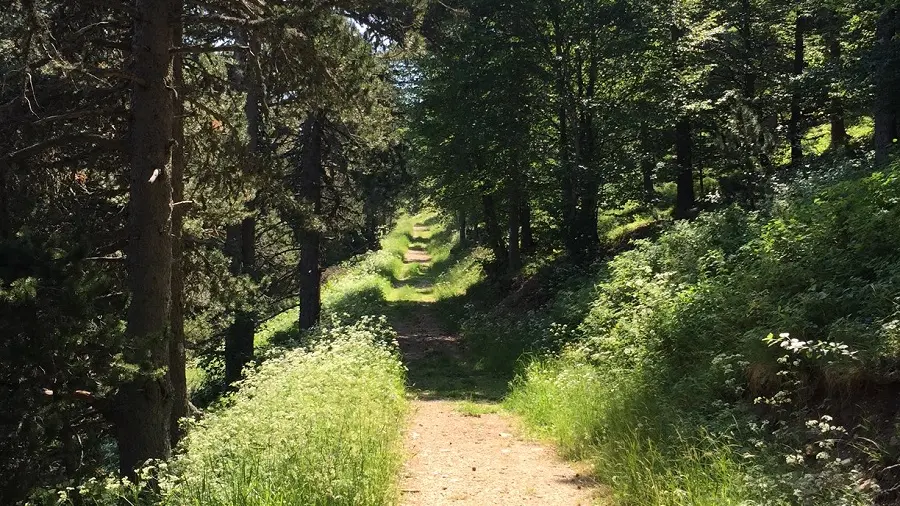 Sentier Jean-Henri Fabre