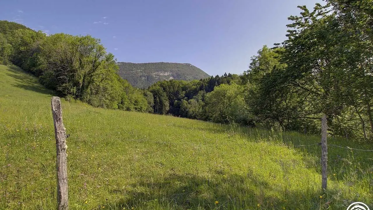 Eté
