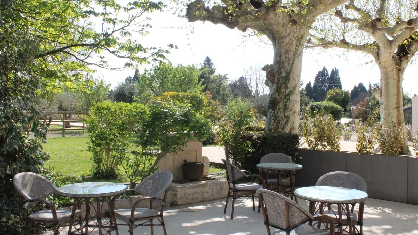 Terrasse petit déjeuner