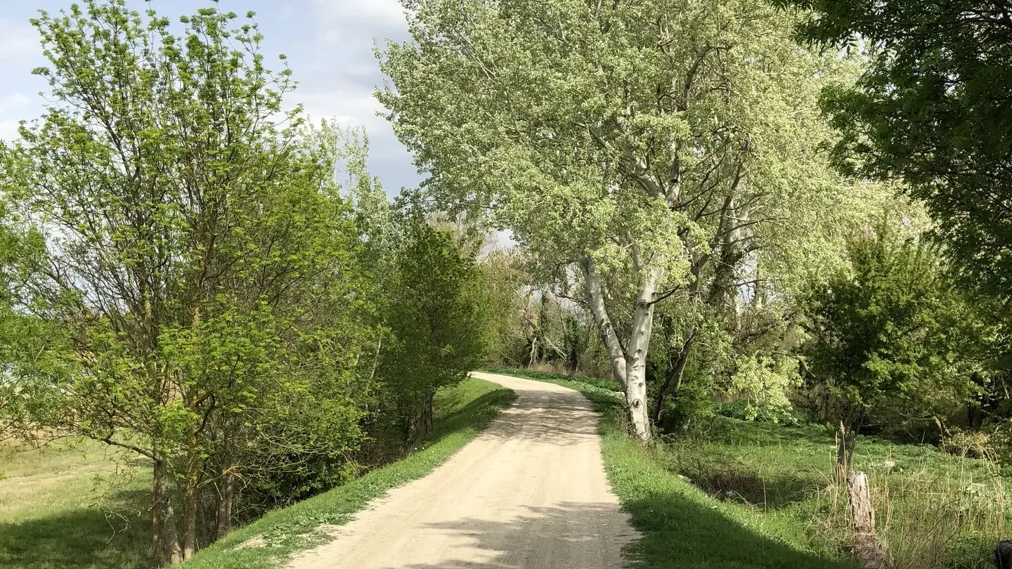 Barrettsee_Saint-Rémy-de-Provence