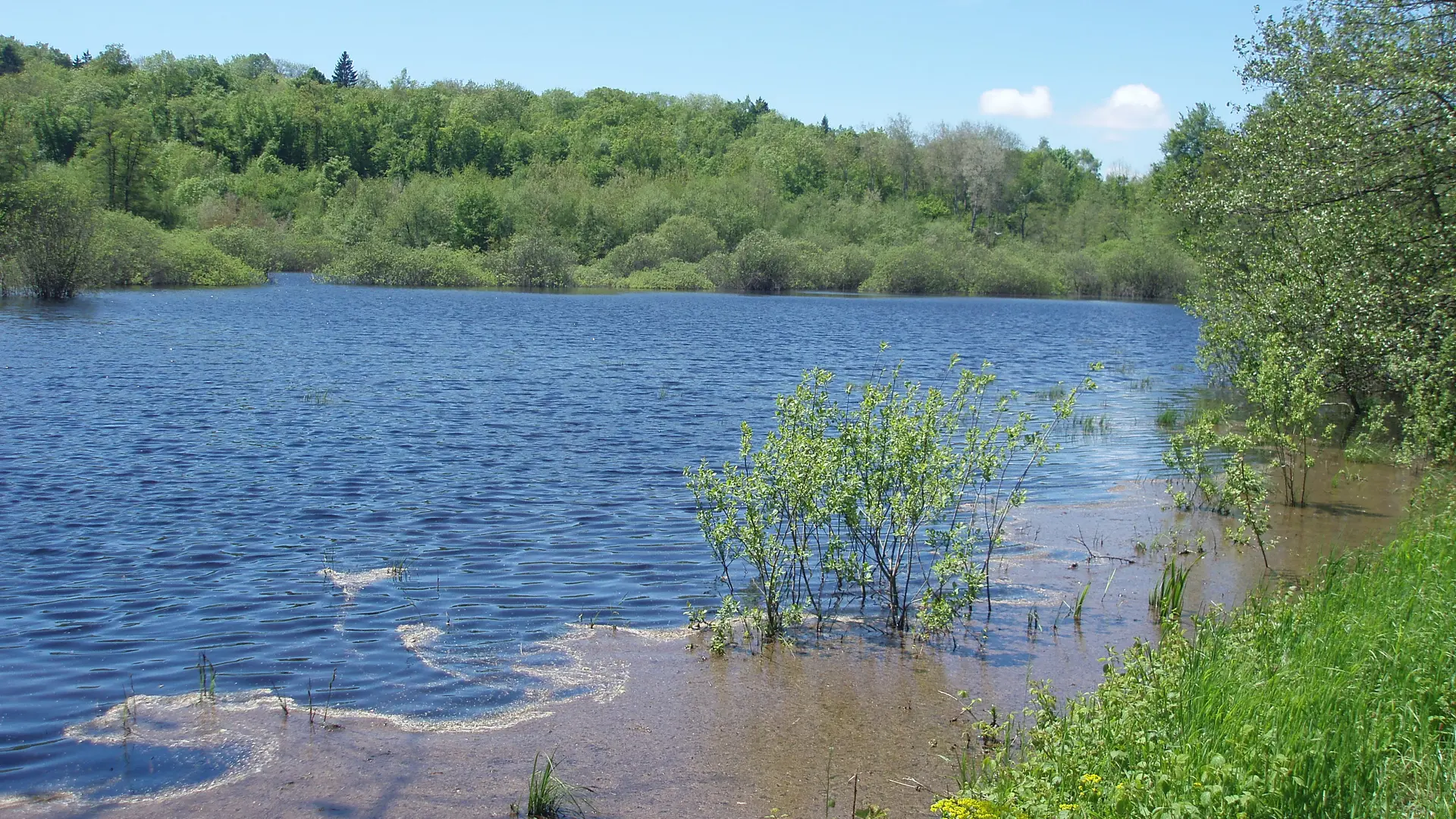 Marais de la Crusille