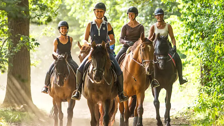 Horse Holidays Maisons Laffitte