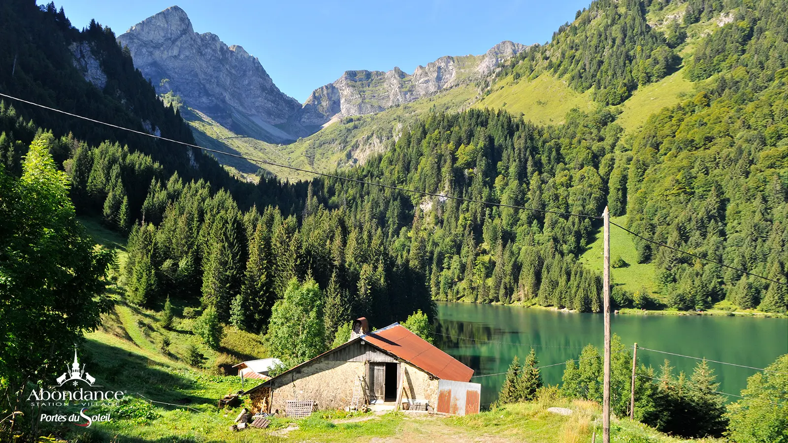 Lac des Plagnes, Abondance