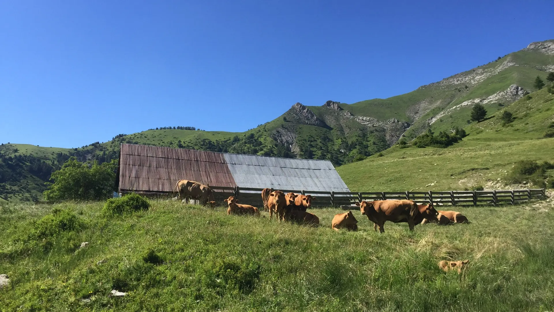 La Cabane des mulets