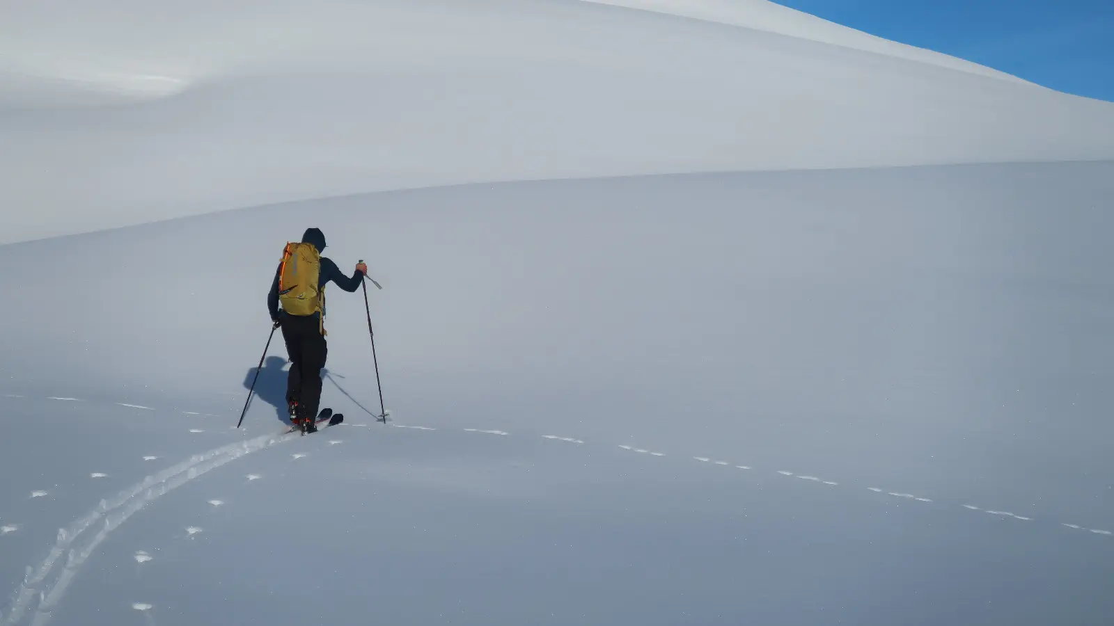 Activité splitboard