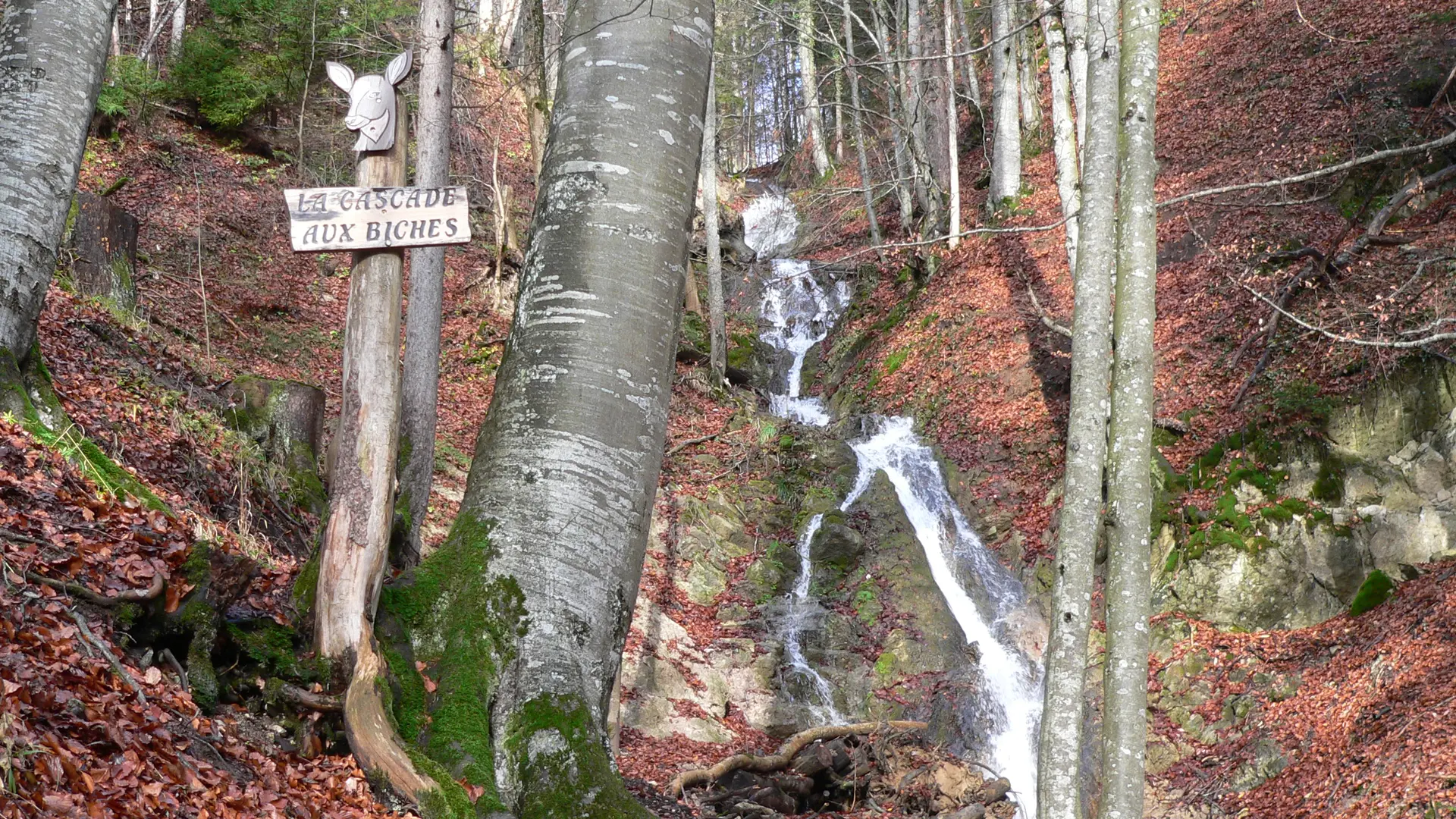 Cascade aux Biches Lullin
