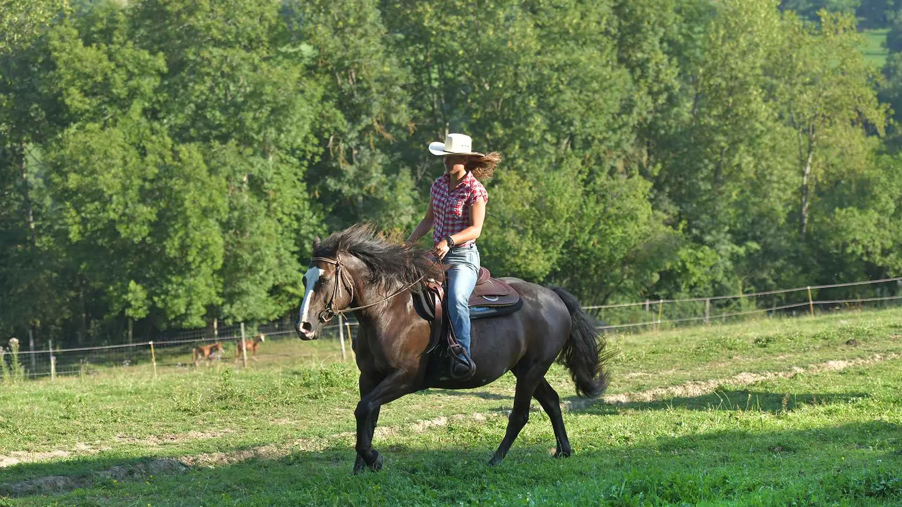 Randonnée équestre à Ferrières-sur-Sichon