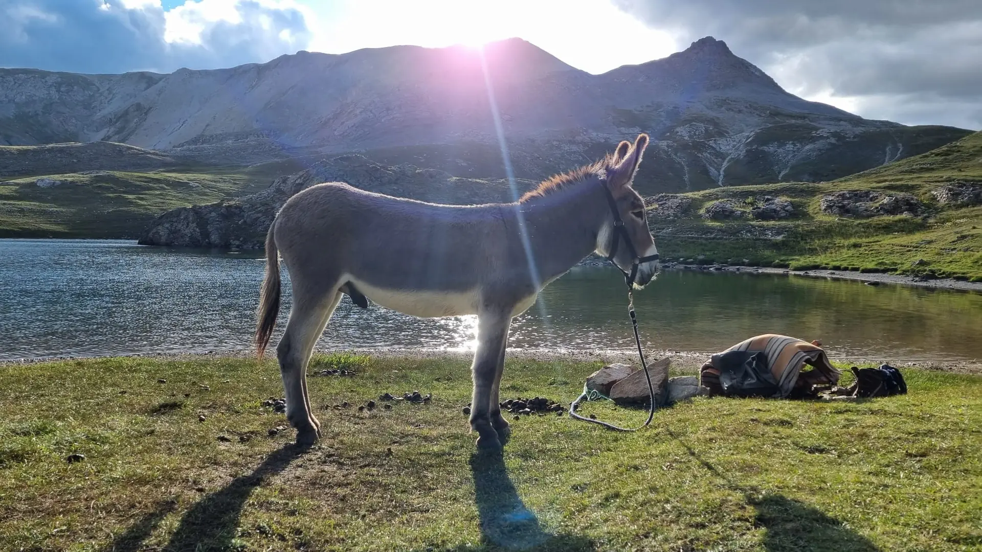 Pépito en bivouac