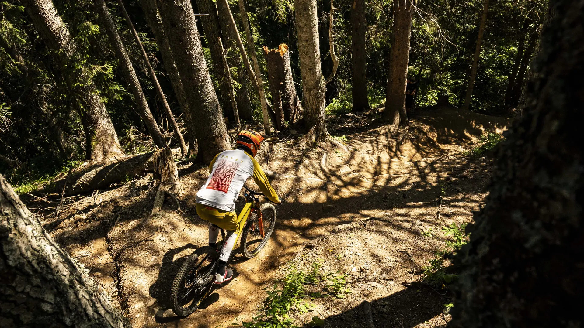 Photo prise de haut d'un vttistex dans le tracé de la piste entre les arbres