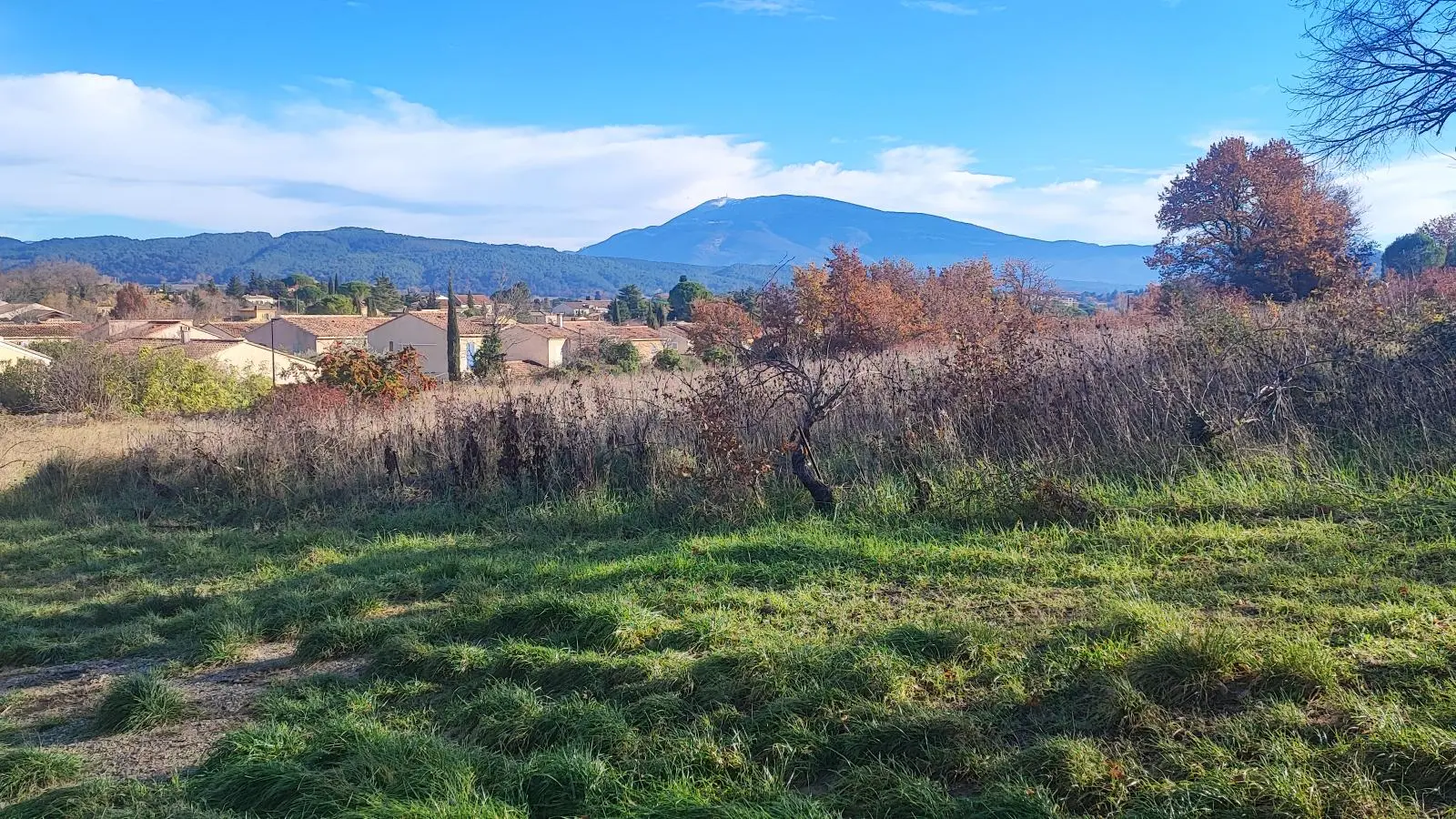 Vue sur le Mont Ventoux