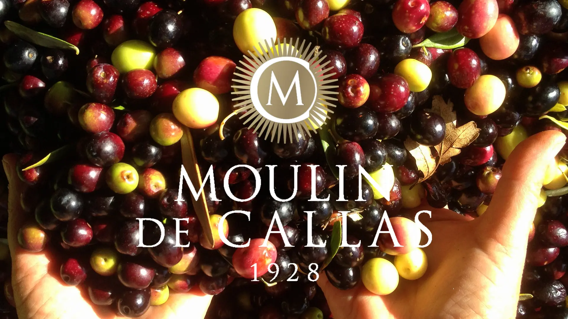 Le Moulin de Callas