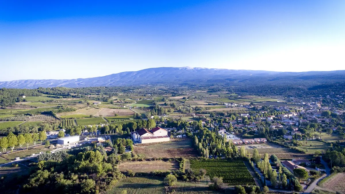 Vignoble vue du ciel