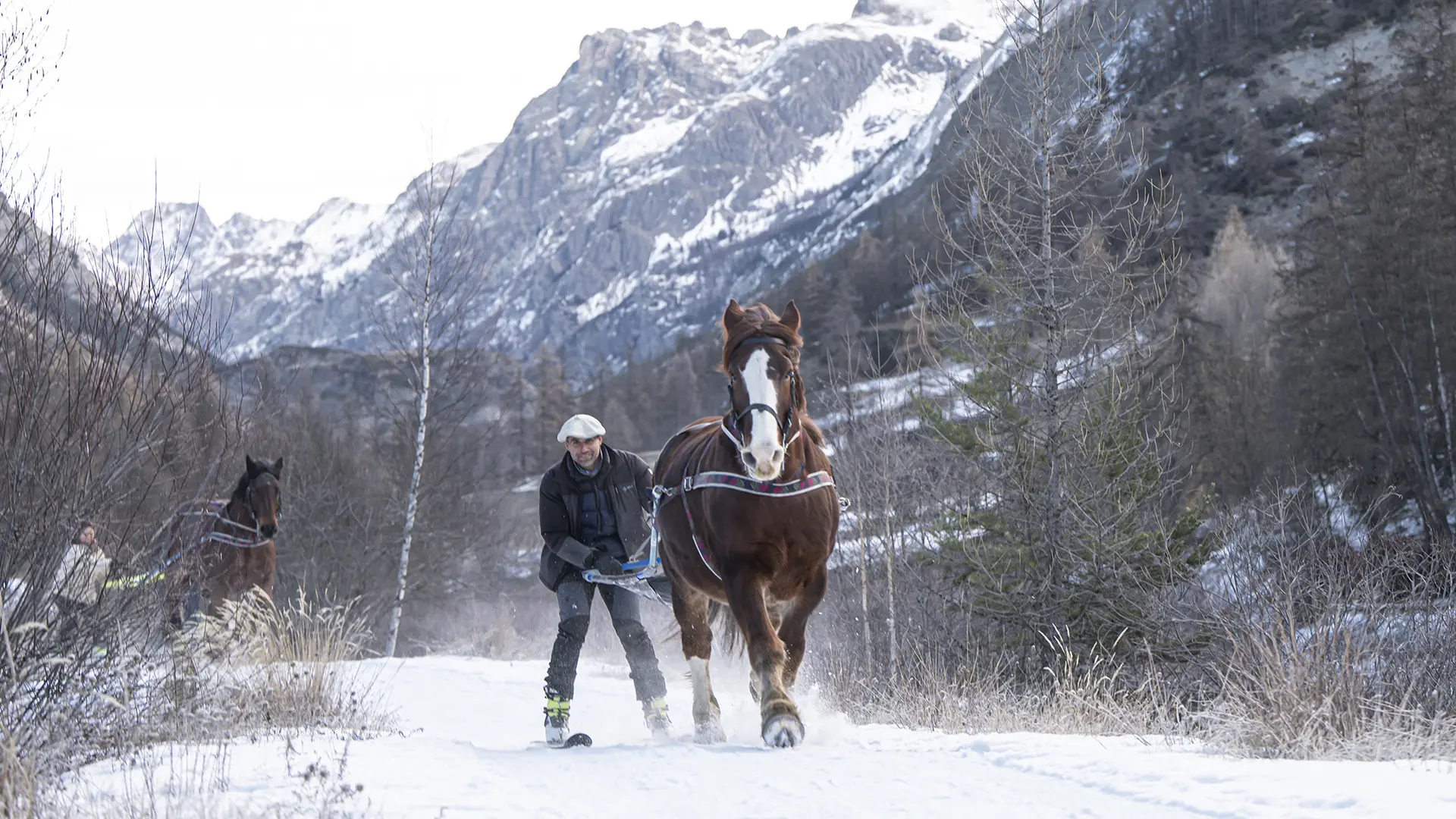 Provence Equiservices - Ski joëring