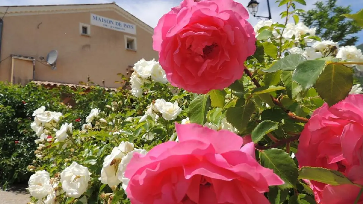 Maison de Pays du Jabron