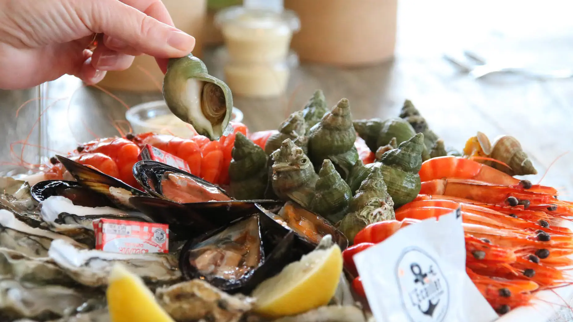 L'écailler de Stef_Saint-Rémy-de-Provence