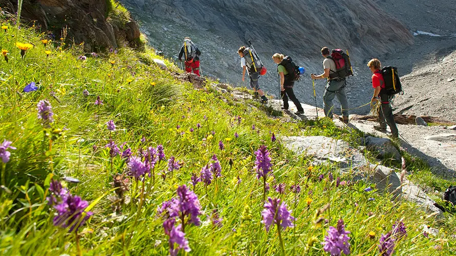 Randonnée sur le tour du Mont-Blanc, dans la Réserve Naturelle des Contamines-Montjoie