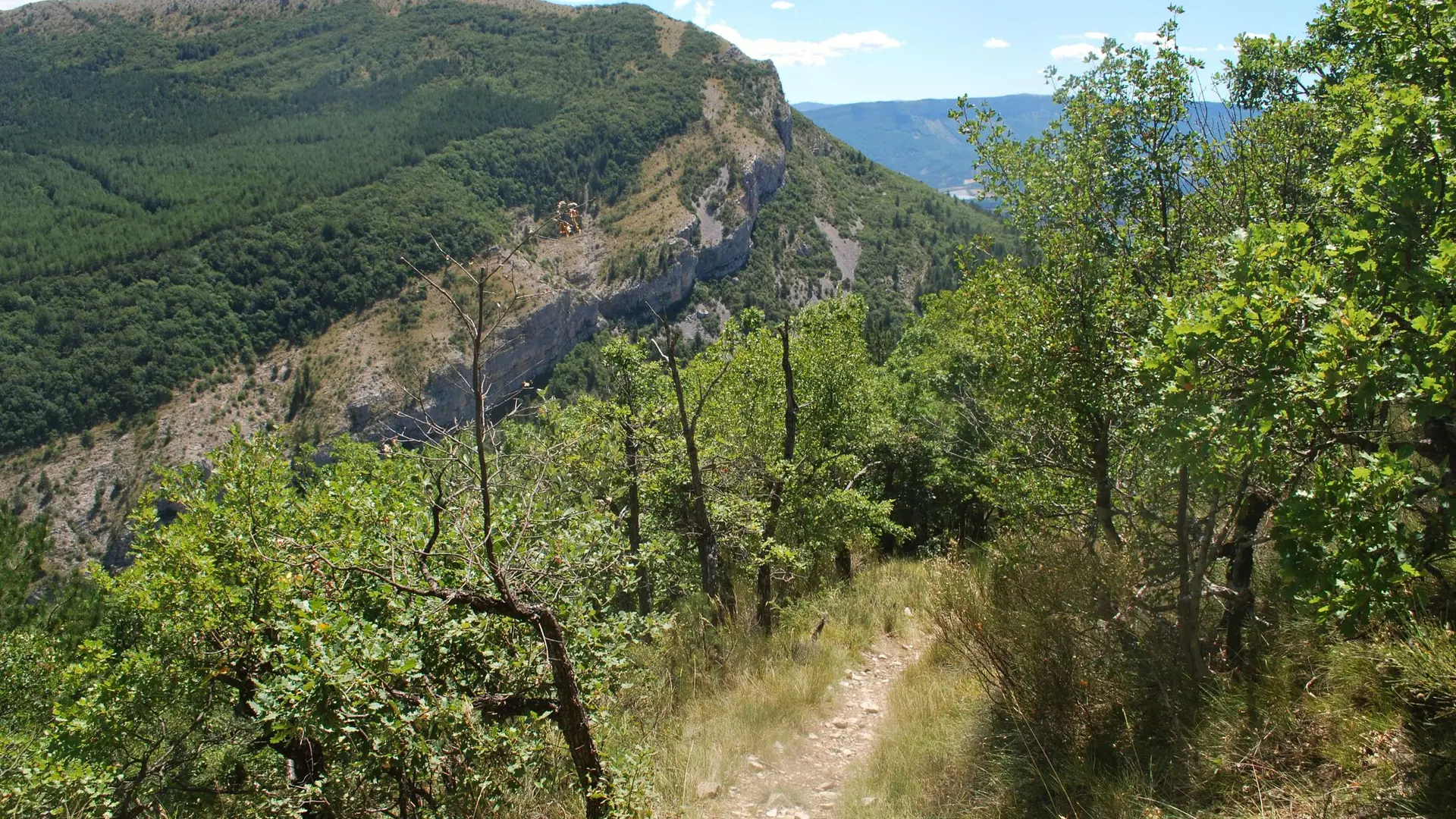 Beau sentier panoramique