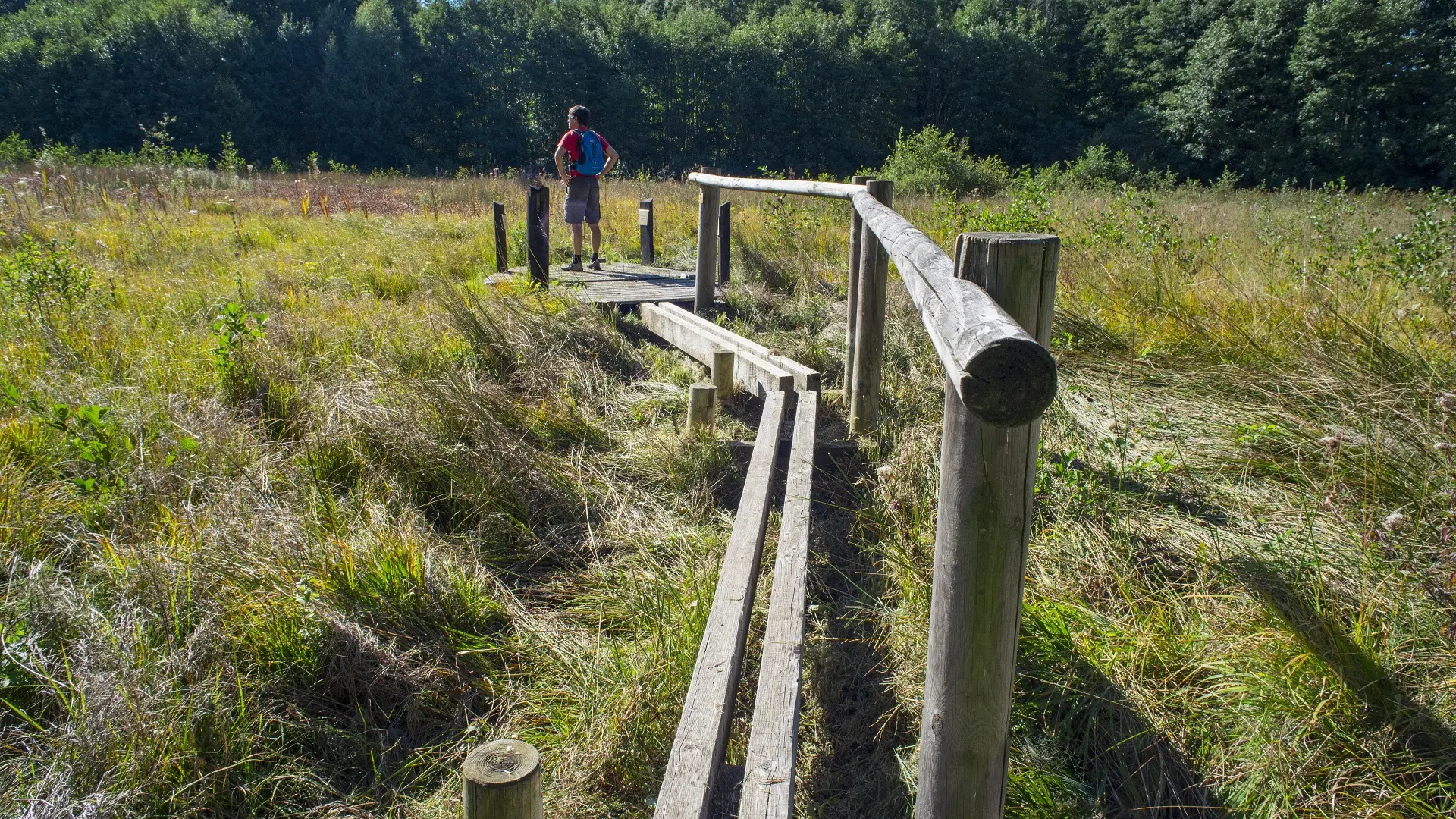 Sentier sur pilotis du géosite du marais du Maravant