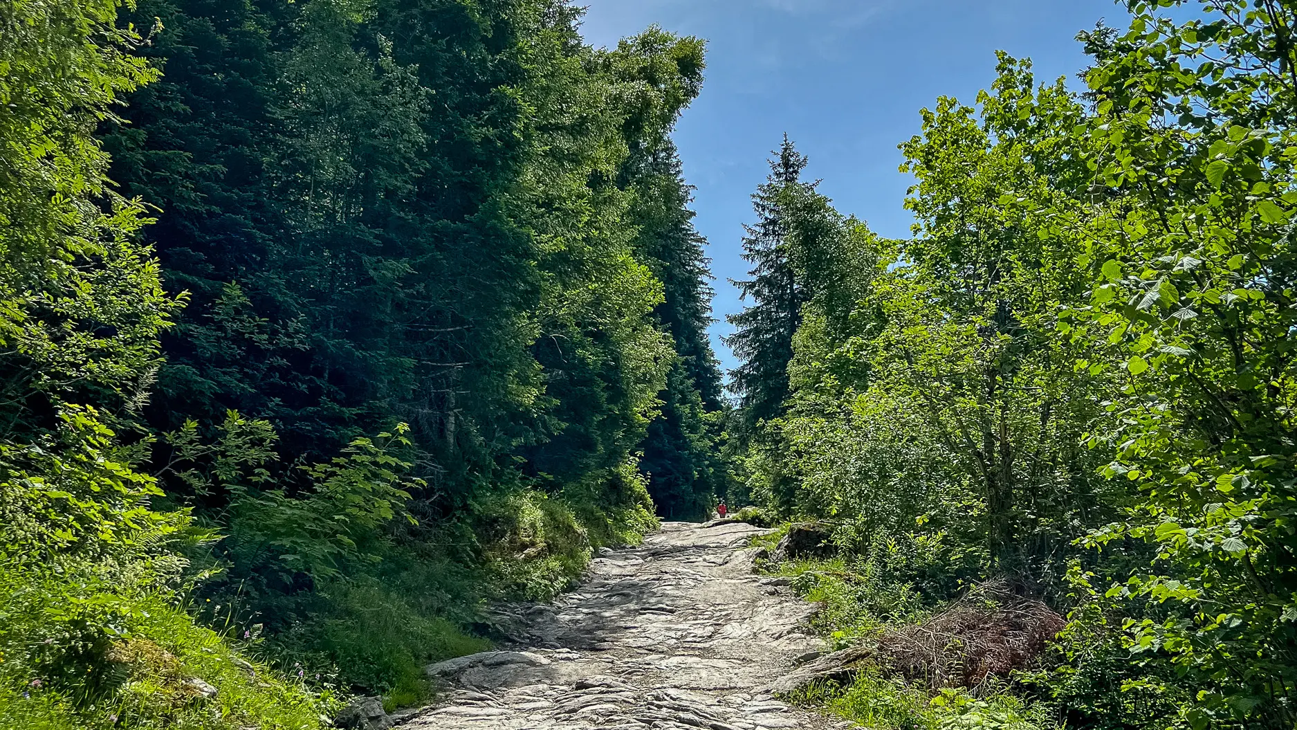 Voie romaine aux Contamines Montjoie