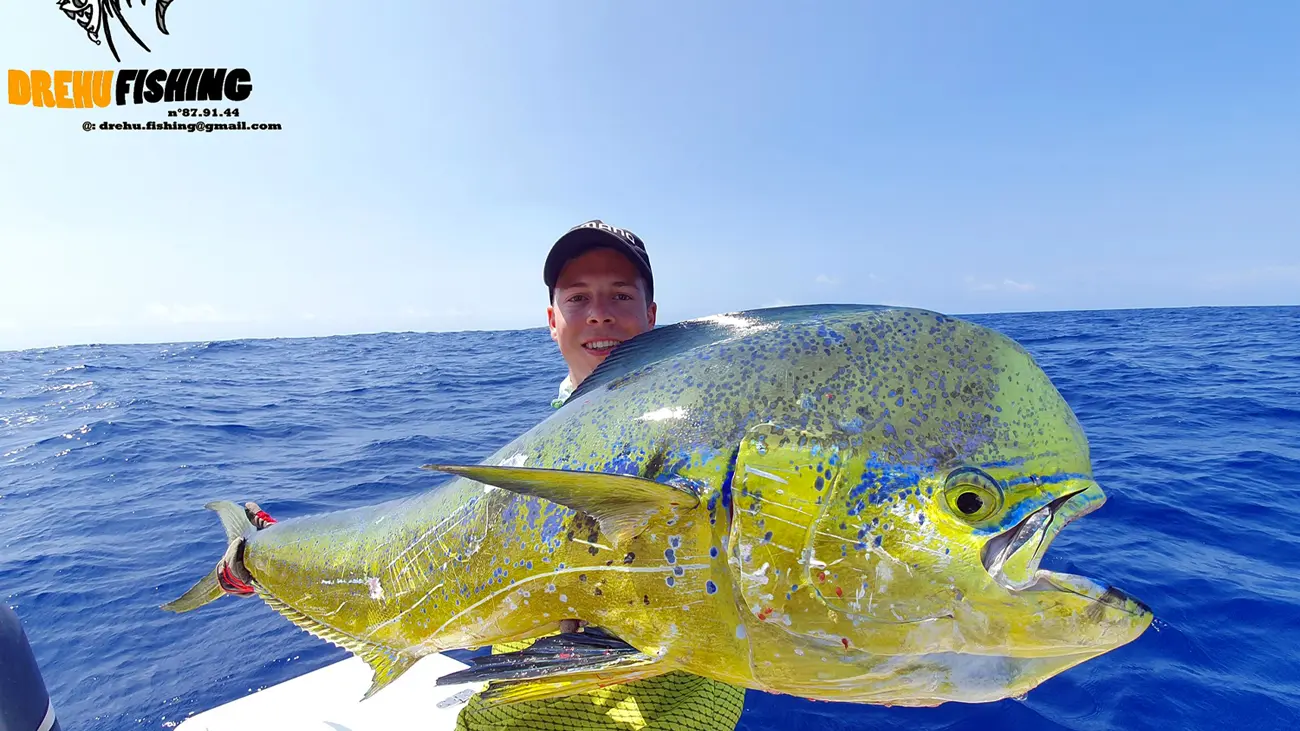 pêche au gros