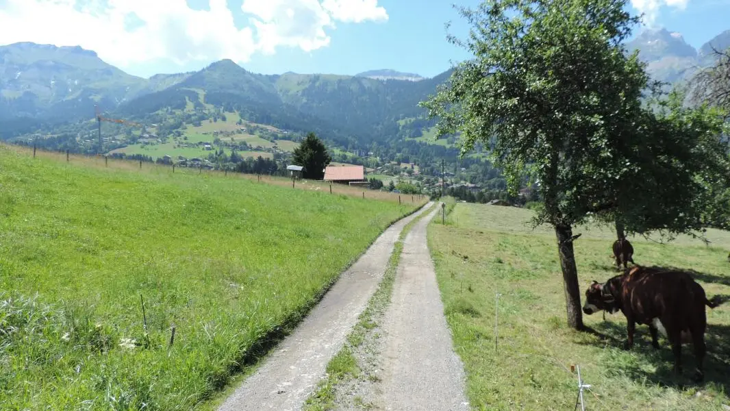 Chemin d'accès au gîte
