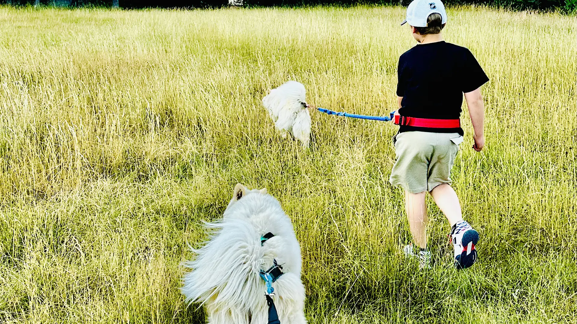 Yupik Aventures Nordiques