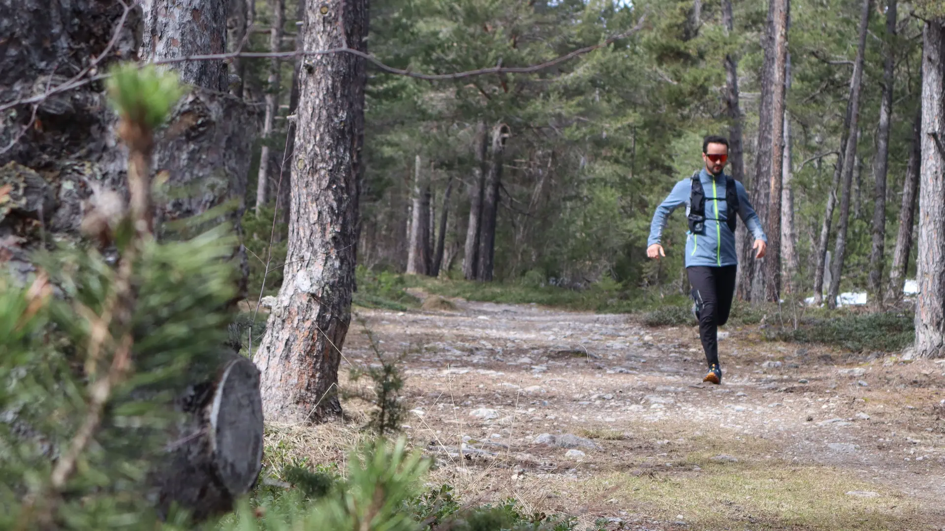 Bois entre Val des Prés et Plampinet