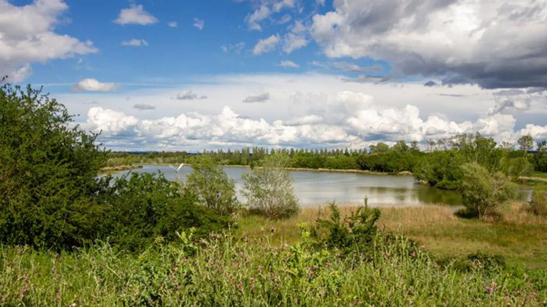 Lac du Barreau_Saint-Rémy-de-Provence