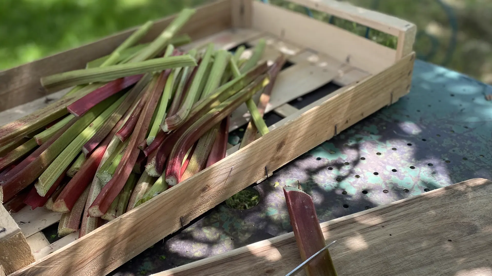 Préparation de confiture de rhubarbe