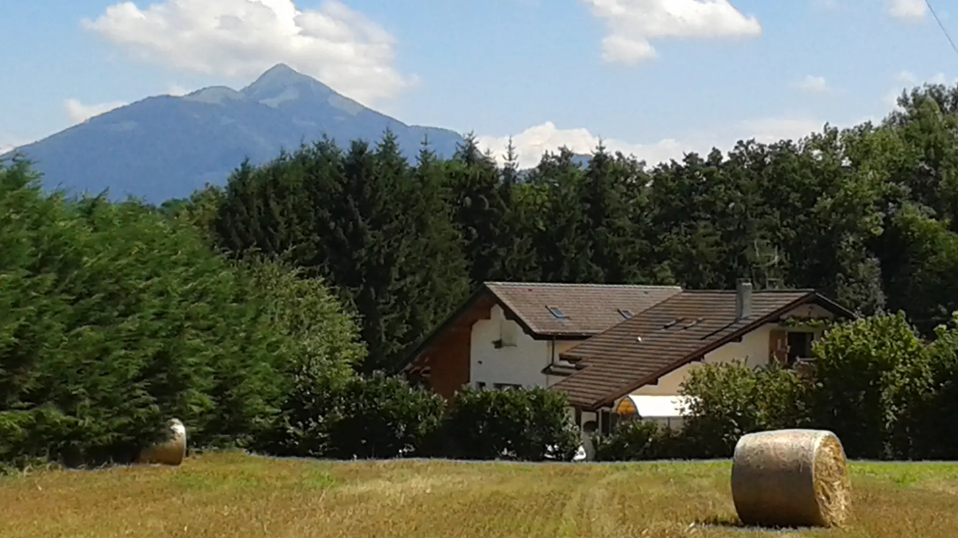 Vue sur l'environnement du gîte