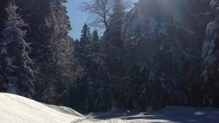 Centre montagnard de Lachat