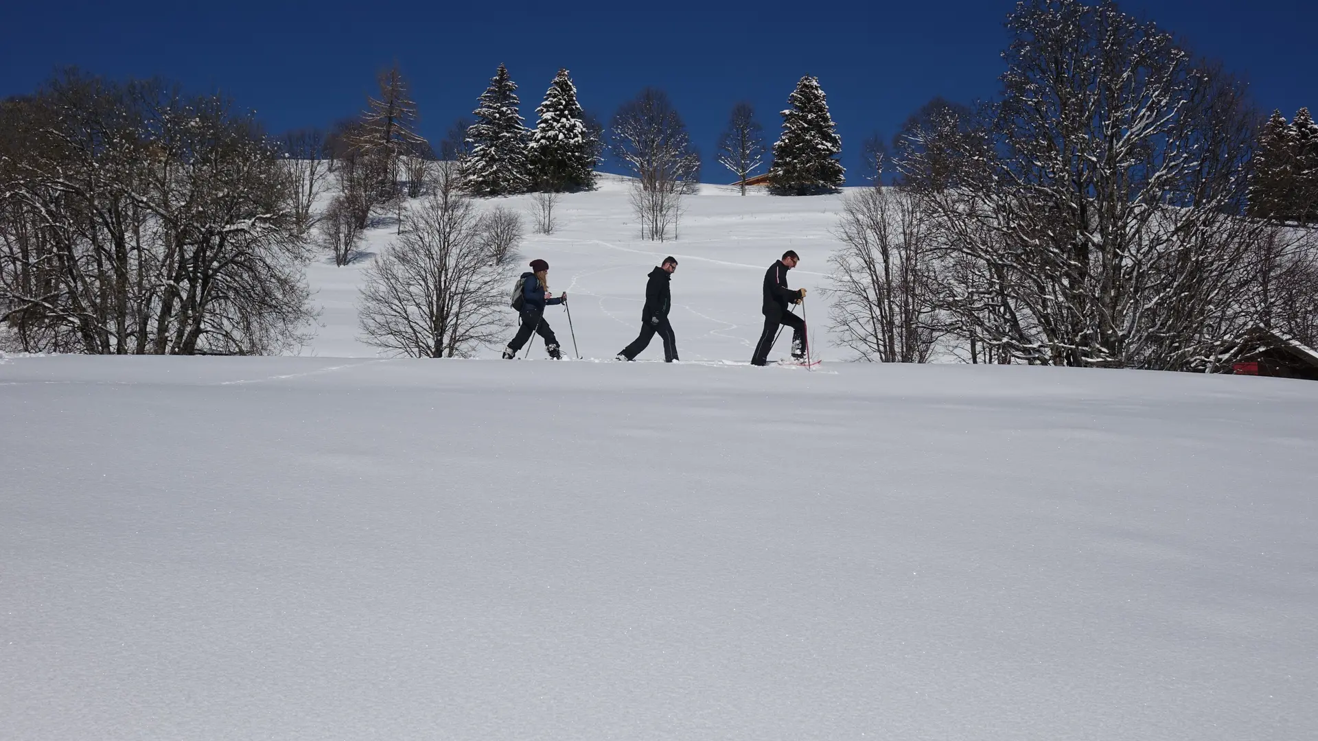 Sur la route du col de Cenise