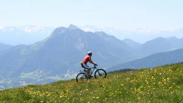 Pour les passionnés de vélo