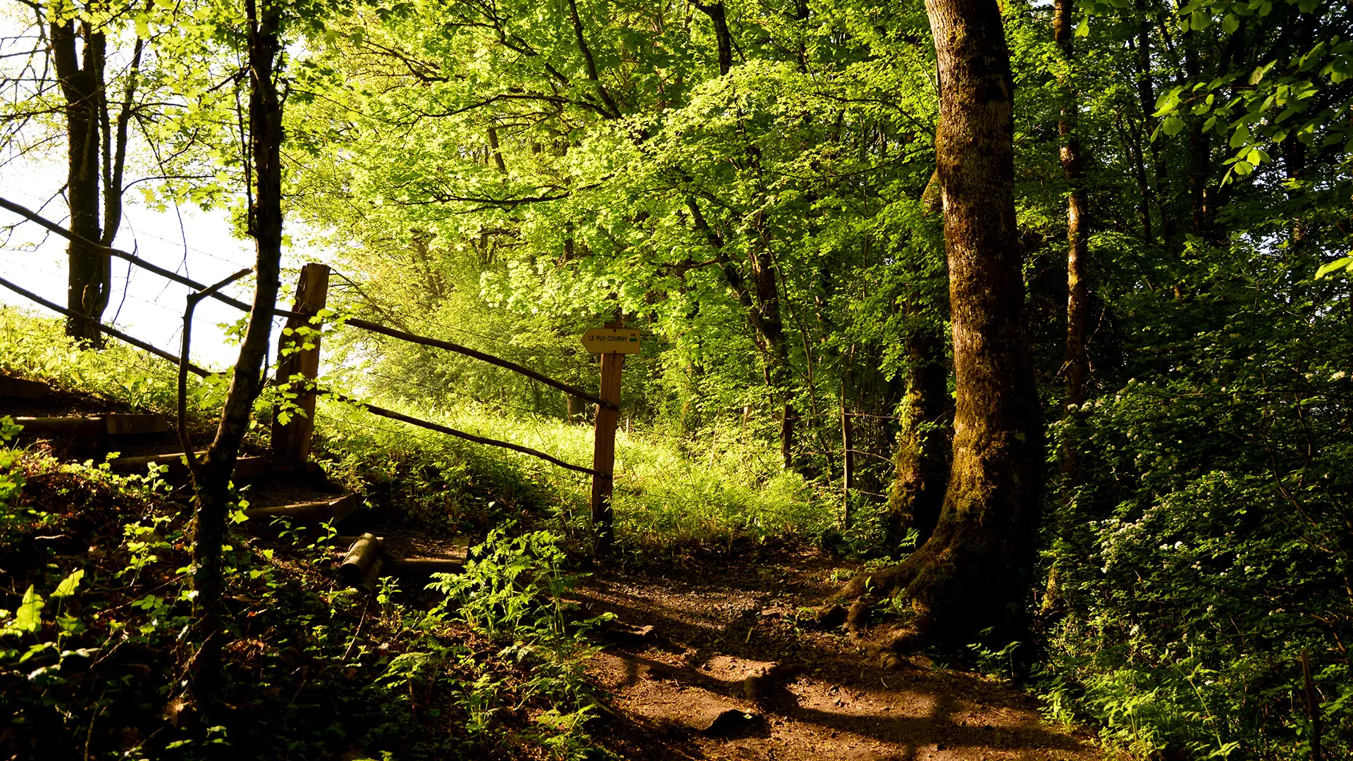 Chemin