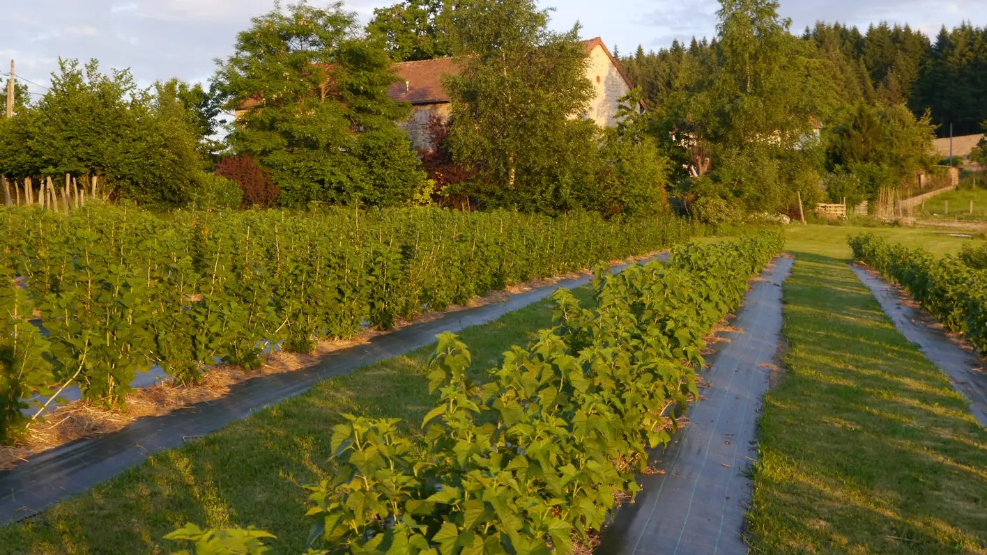jardins de la brugière