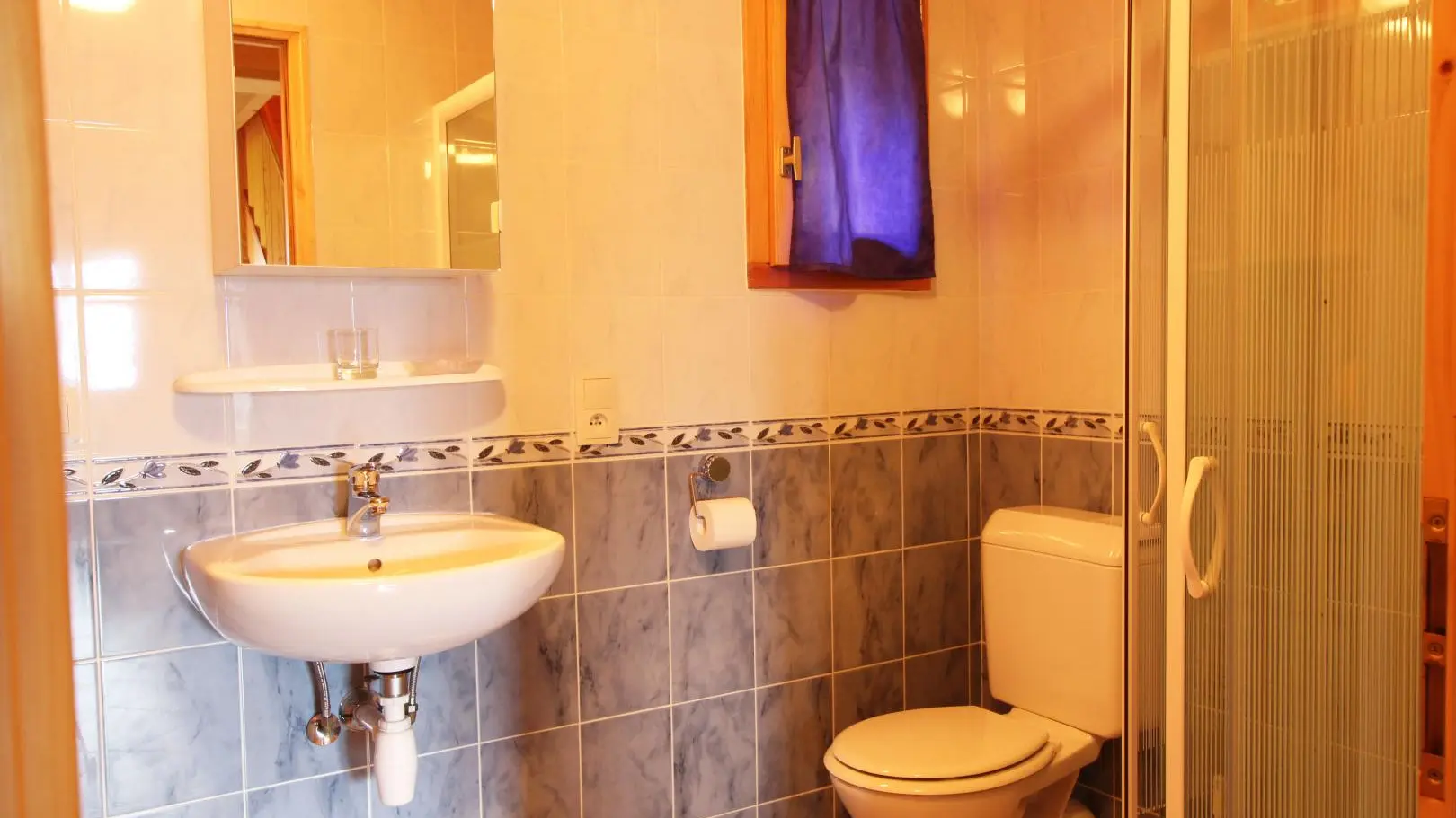 salle de bains douche et wc au rez de chaussé