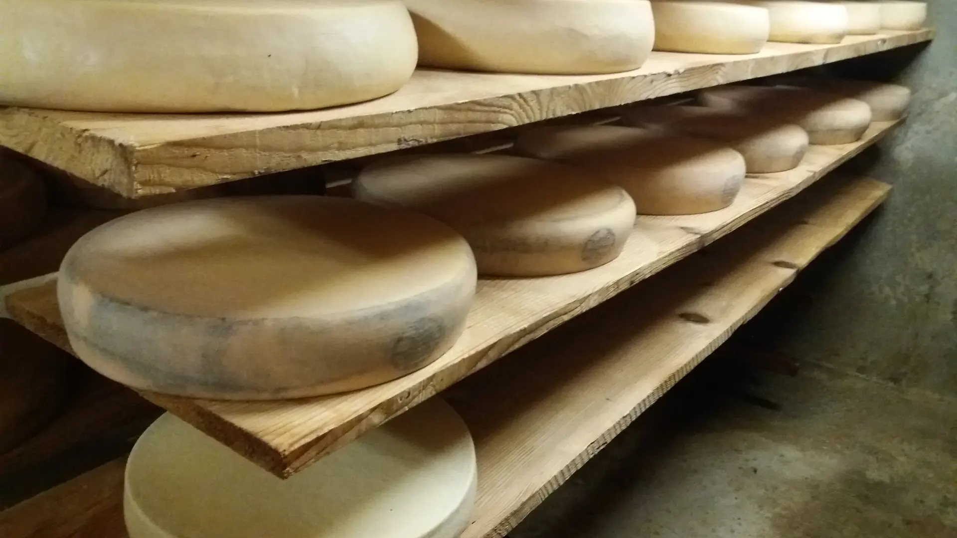 Fromages Ferme de Belleydoux