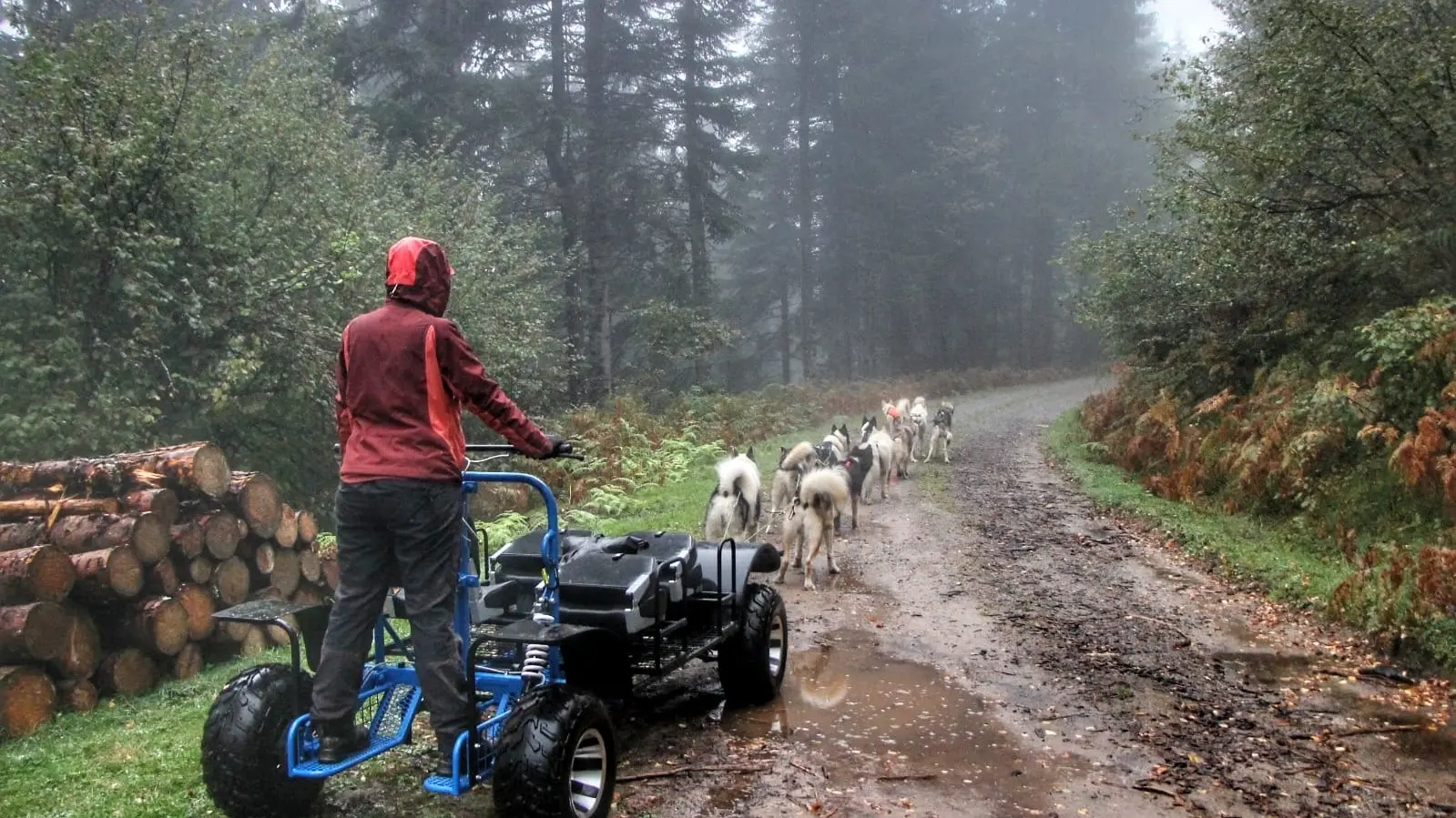 Attelage en Kart, Terre Sauvage