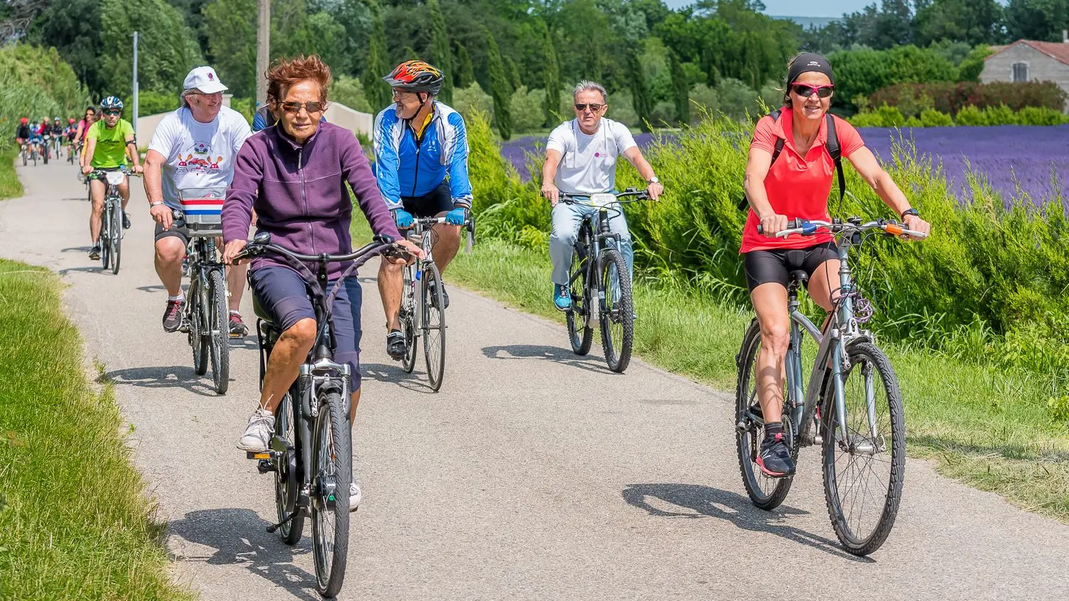 Rando cyclo plaine du Rhône