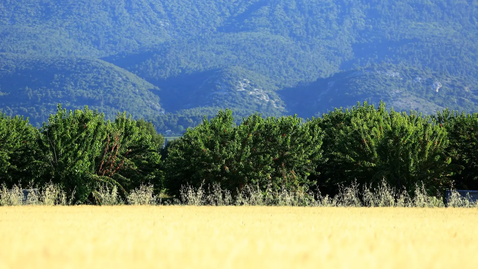 OT LUB - Sannes; luberon; provence